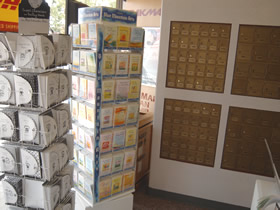 Greeting Cards Tampa
